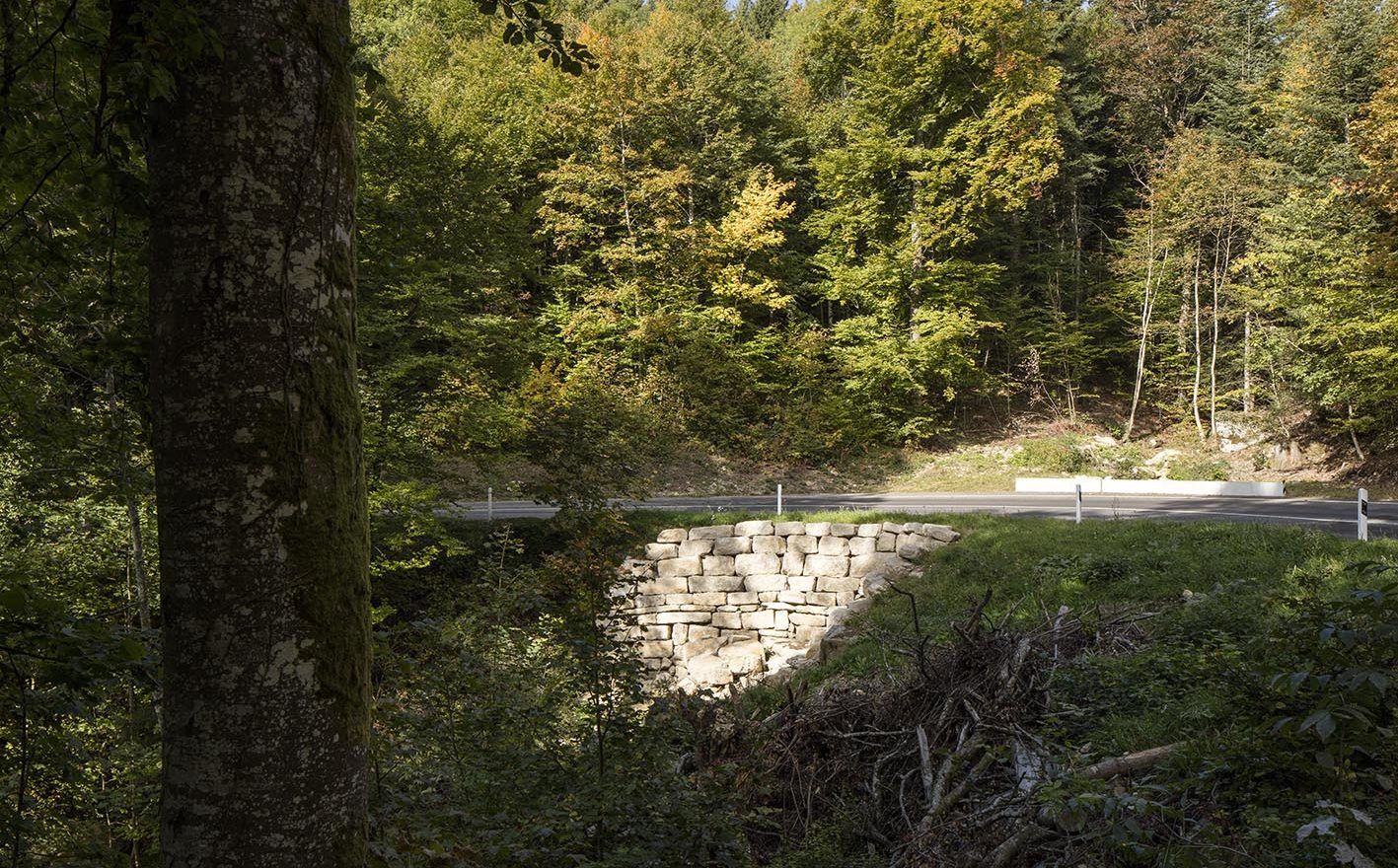 Facchinetti Génie Civil 2017, route de Lignières, Cressier