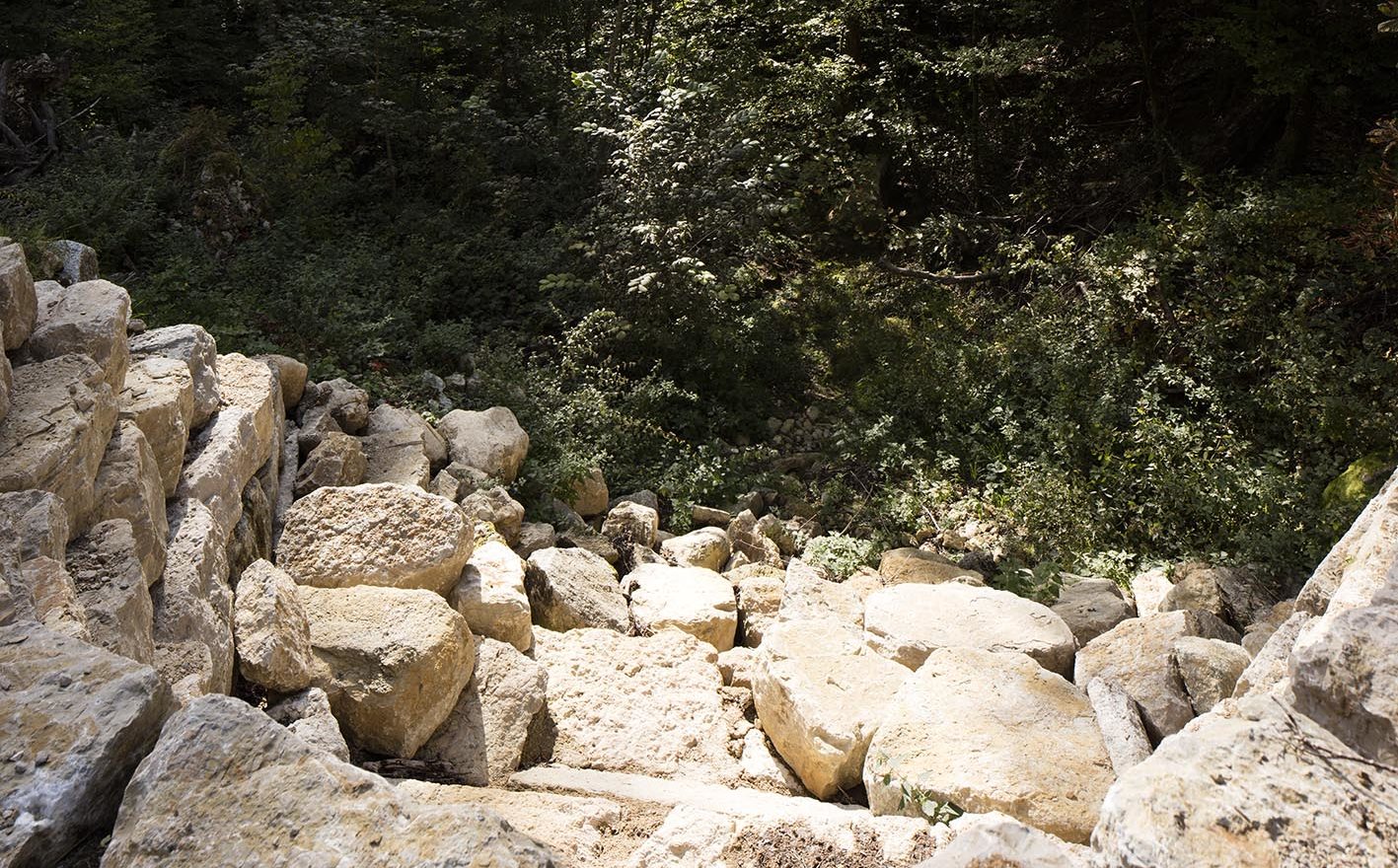 Facchinetti Génie Civil 2017, route de Lignières, Cressier